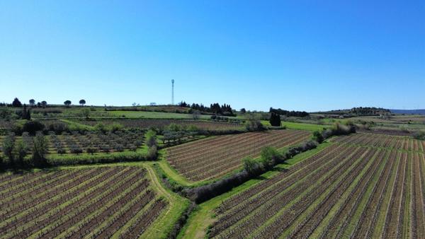 Maison Plain-Pied avec Terre Agricole ? Opportunité Exceptionnelle