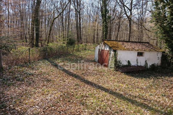 Charmante maison sur sous-sol avec grand terrain à Sauvigny-les-Bois, à 5 min de Saint-Éloi