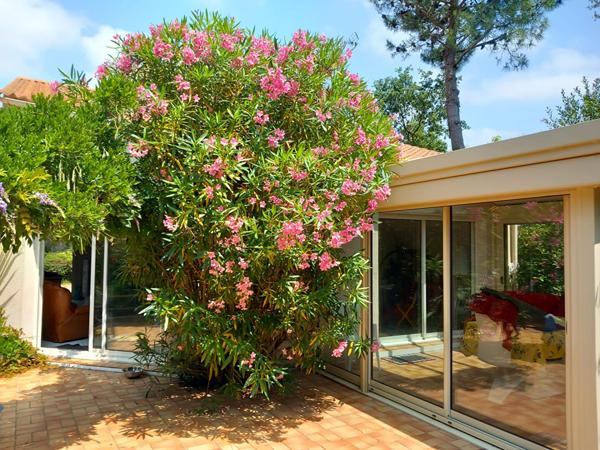 Maison 148 m² sur terrain arboré de 1300m2 Quartier Petit Paris
