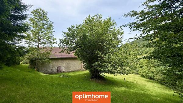 VENTRON – Ancienne ferme de montagne en pierre sur plus d'1 hectare de terrain – 140 m² habitables – Grange, caves et ruisseau