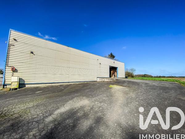 Immeuble à vendre 679 m² Languidic