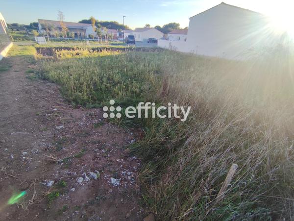 Terrain
        
        - 518 m² 64 000 € *