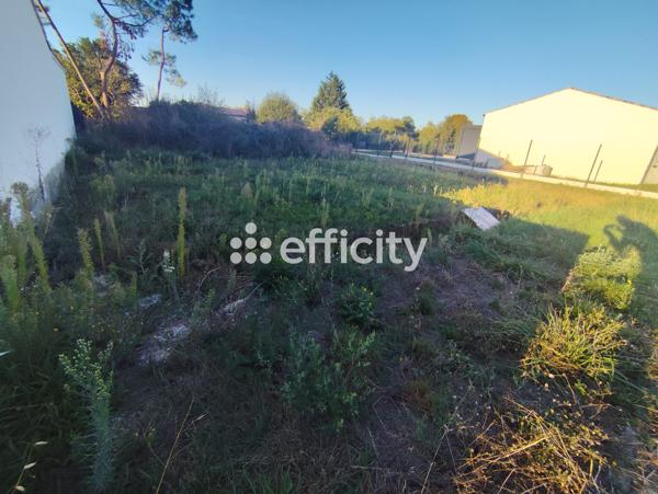 Terrain
        
        - 518 m² 64 000 € *