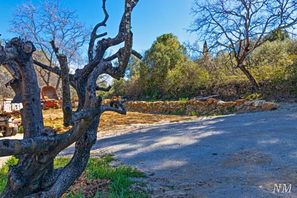 Flayosc (83780) Superbe maison de maçon de 190 m² hors d'eau hors d'air sur terrain de 3240 m²