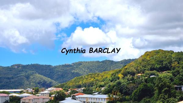 Appartement à LE MARIN (97290)