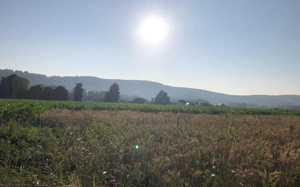 Terrain à vendre    Angaïs