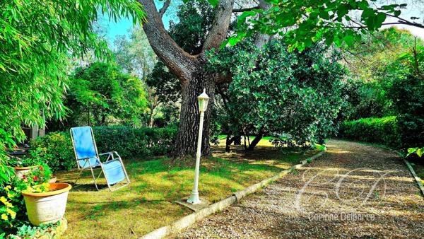 Terrain constructible 2554 m² et sa maison de 125m²