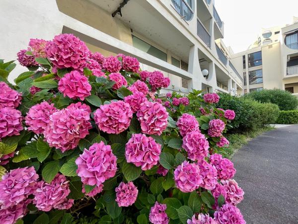 Vente Appartement de luxe La Grande-Motte 3 Pièces 122 m²