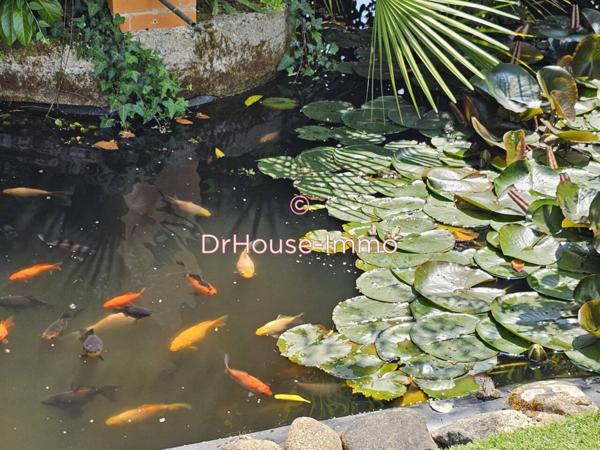 Maison à vendre 9 pièces de 230 m²