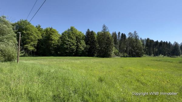 Maison à vendre 8 pièces de 252 m²