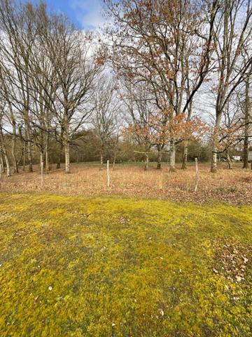 Local commercial avec terrain