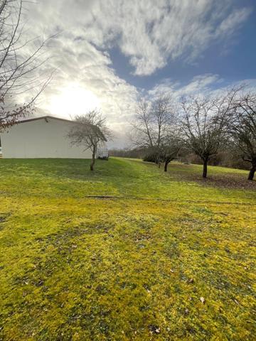 Local commercial avec terrain