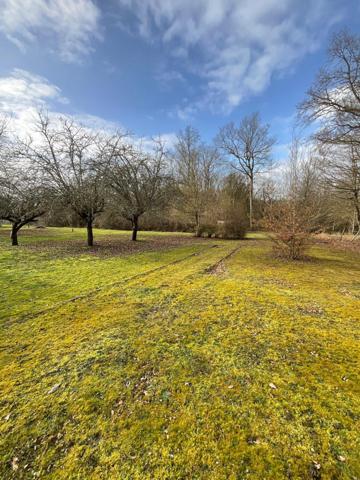 Local commercial avec terrain