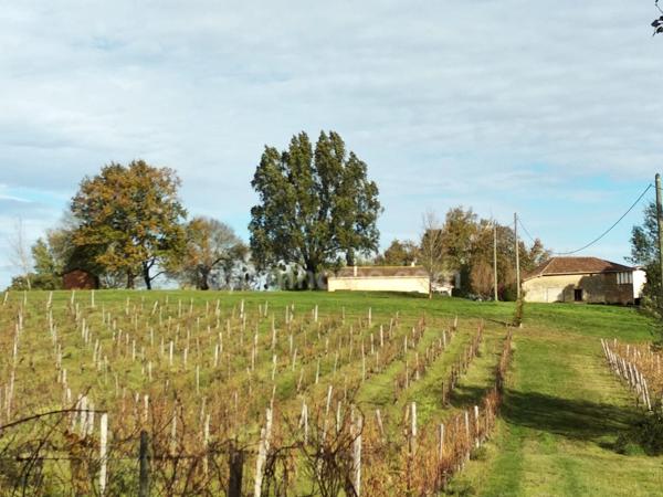 Maison de campagne avec son gite indépendant et dépendances sur 2,50 Ha.