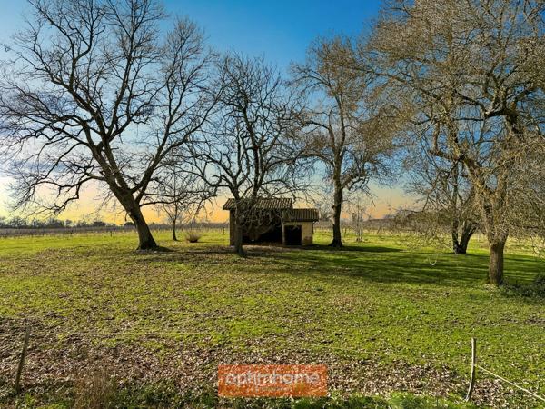 Maison de campagne avec son gite indépendant et dépendances sur 2,50 Ha.