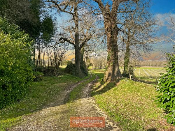 Maison de campagne avec son gite indépendant et dépendances sur 2,50 Ha.