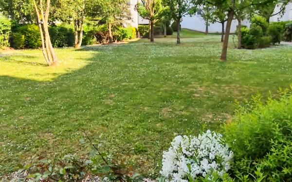 Appartement à vendre    2 pièces • 44,25 m2 Cergy