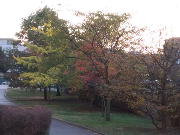 LYON 8 Université Jean moulin T2  52 m2