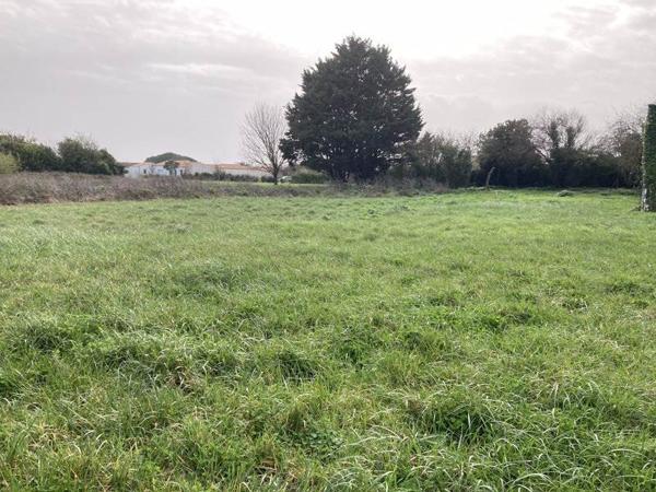 Terrain à vendre |  Saint-Pierre-d'Oléron |  336 m²