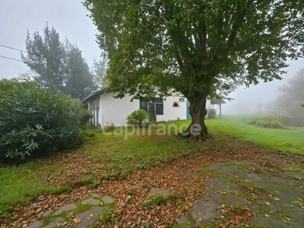 Maison à vendre SAINT AUBIN (40) T12 393 m² Terrain de 10149 m²