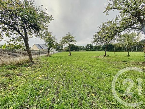 terrain à vendre  889 m2 LE MERZER - 22