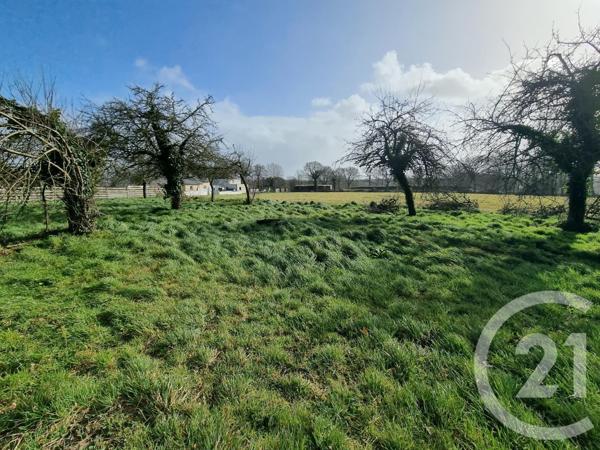 terrain à vendre  889 m2 LE MERZER - 22