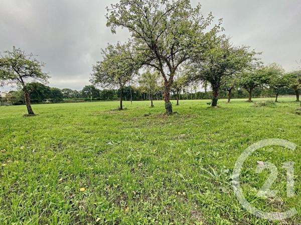 terrain à vendre  889 m2 LE MERZER - 22