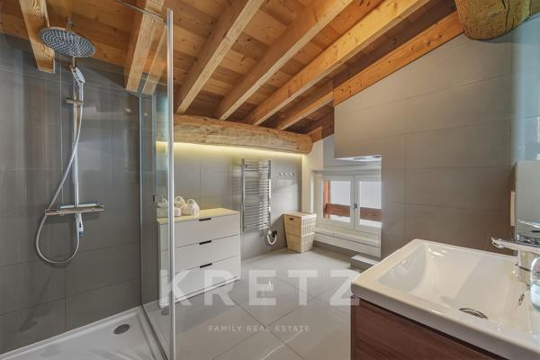 CHAMONIX MONT BLANC Chalets avec mazot vue panoramique