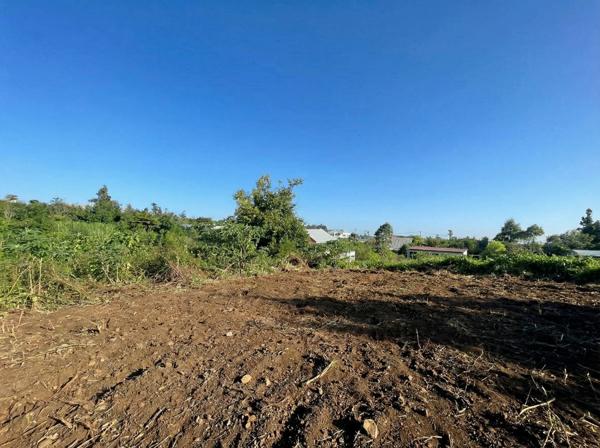 🌿 TERRAIN CONSTRUCTIBLE 640 m² (LOT B) – PLAT – 11400 €/m2 – SAINT-JOSEPH