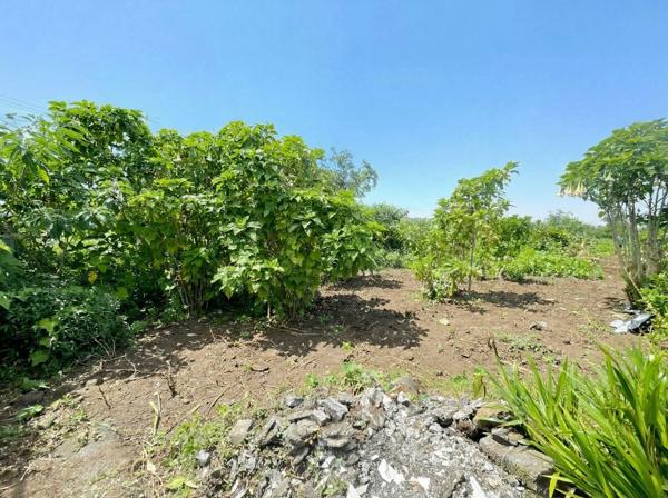 🌿 TERRAIN CONSTRUCTIBLE 640 m² (LOT B) – PLAT – 11400 €/m2 – SAINT-JOSEPH