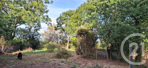 Maison à vendre  4 pièces - 103,30 m2 TREIGNAT - 03