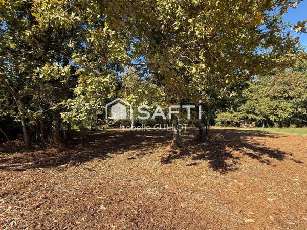 Terrain à bâtir 2800 m2 proche du centre