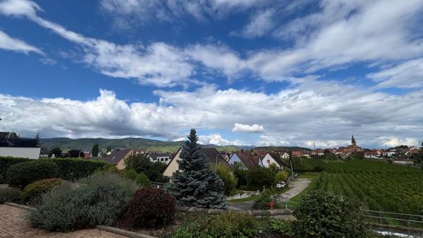 Maison Wintzenheim 10 pièce(s) 299.77 m2