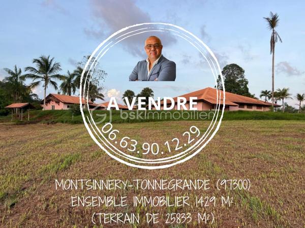 Immeuble de 1 429 m²