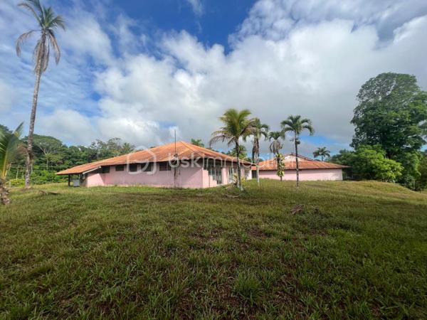 Immeuble de 1 429 m²