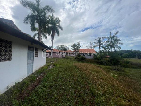 Immeuble de 1 429 m²