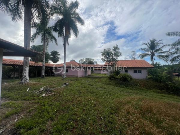 Immeuble de 1 429 m²