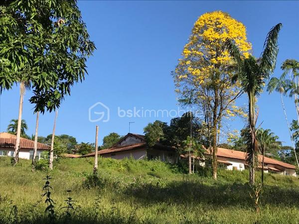 Immeuble de 1 429 m²