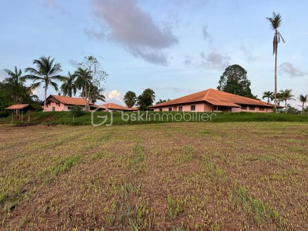 Immeuble de 1 429 m²