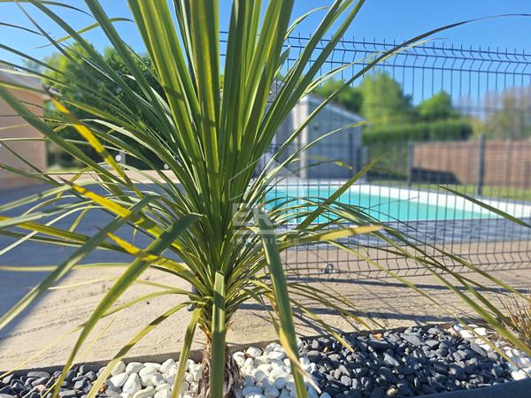 Maison individuelle avec piscine et garage à Montpon Ménestérol.