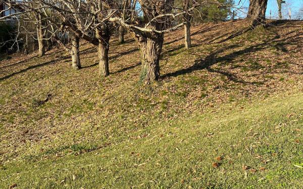 Terrain à vendre    Mouguerre