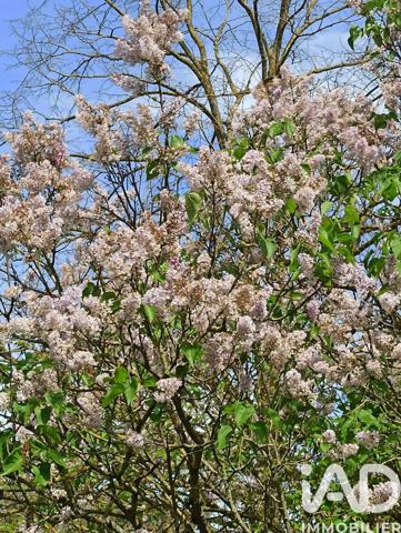 Terrain à vendre 795 m² Saint-Benoist-sur-Vanne