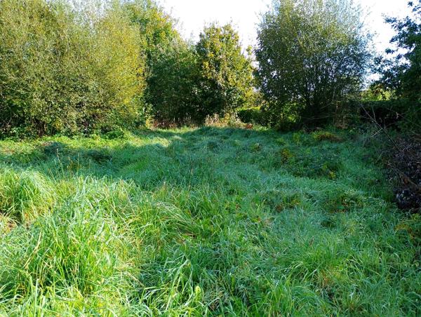 Maison à vendre 2 pièces GUISCRIFF (56)