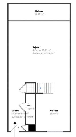 Duplex lumineux et calme au cœur de Lyon 3