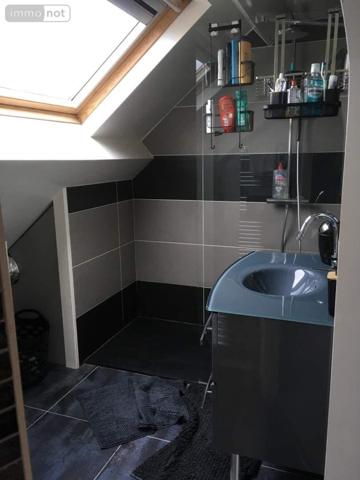 Maison à vendre à Janzé en Ille-et-Vilaine (35150), ref : 134/4285