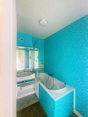 Appartement avec Jardin , cave et grenier