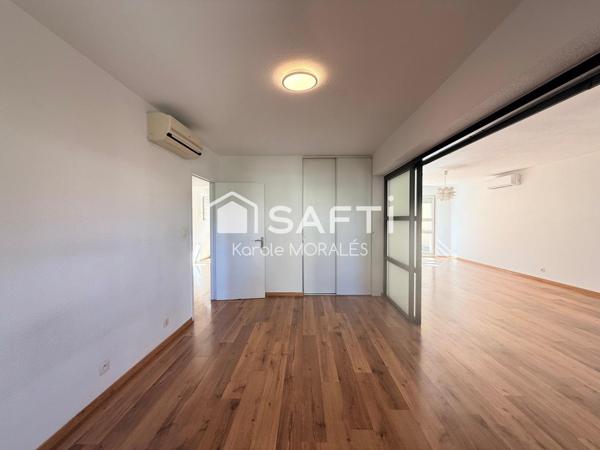 PERPIGNAN, QUAI NOBEL, MAGNIFIQUE T3 RENOVE, GRANDE TERRASSE ET PARKING