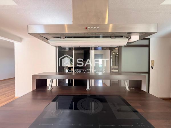 PERPIGNAN, QUAI NOBEL, MAGNIFIQUE T3 RENOVE, GRANDE TERRASSE ET PARKING