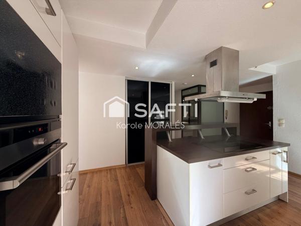 PERPIGNAN, QUAI NOBEL, MAGNIFIQUE T3 RENOVE, GRANDE TERRASSE ET PARKING