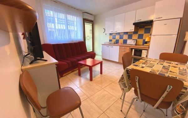 Vente Studio Grande Cabine RIVE DROITE Le grau-du-roi   